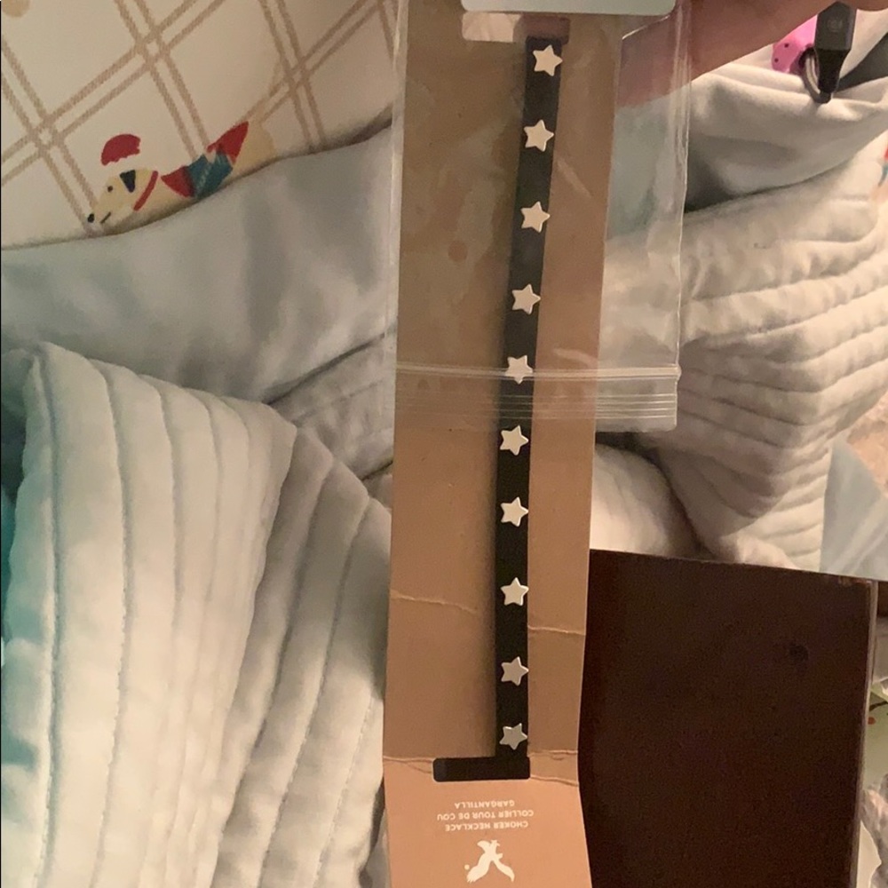 American eagle choker